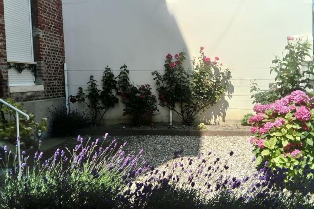 Appartement Calme A 300 M De La Plage-Centre Ville - Quiet Appartment 300 M Near City And Beach Mers-les-Bains Exteriör bild
